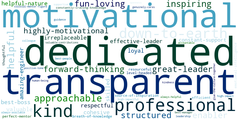 Word Cloud